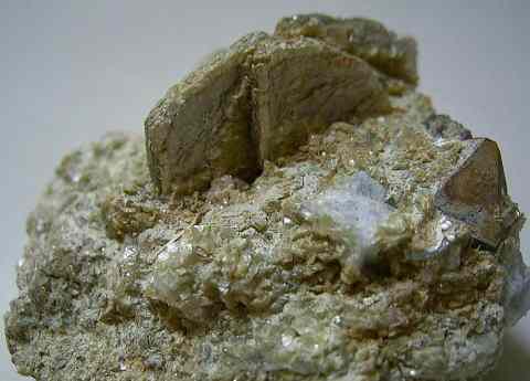 Muscovite