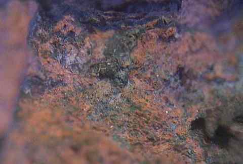 Paratacamite