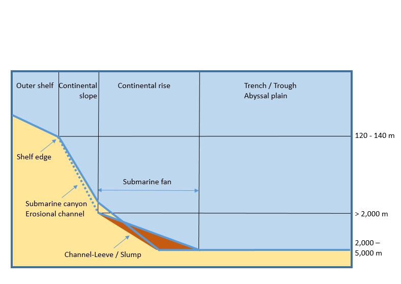 Submarine fan (Passive continental margin)