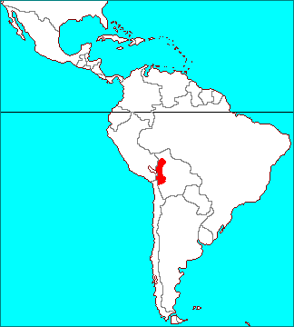 Tillandsia boliviensis