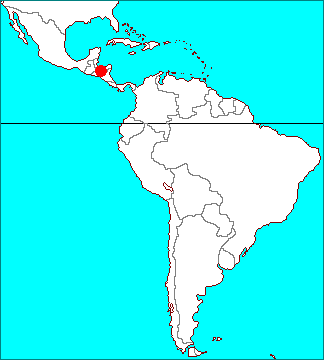 Tillandsia hondurensis