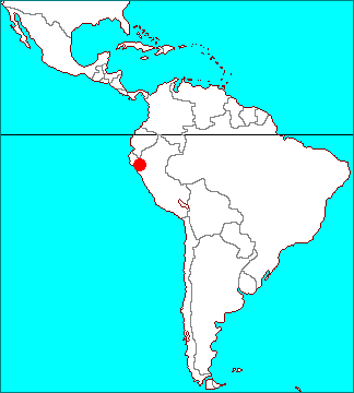 Tillandsia peruviana