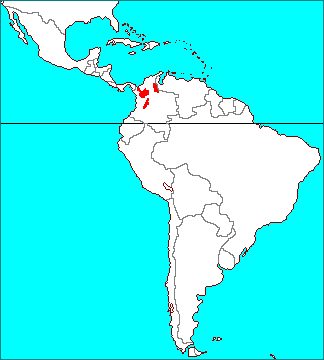 Tillandsia pruinosa Colombia form