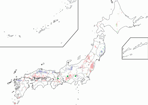 REE Miarolitic Pegmatite