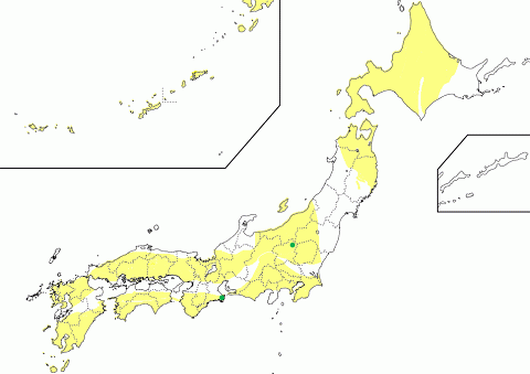 ロジン岩化