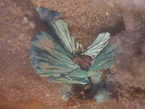 Aurichalcite