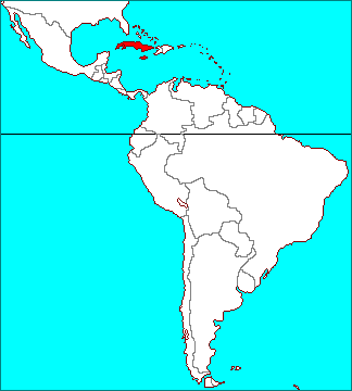 Tillandsia argentea