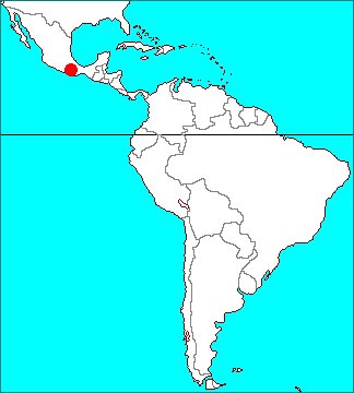 Tillandsia atenangoensis