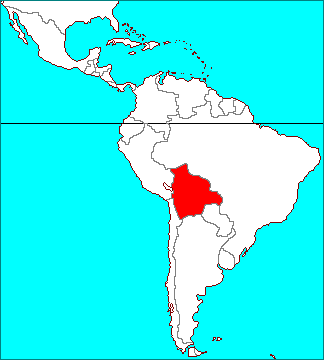 Tillandsia boliviana