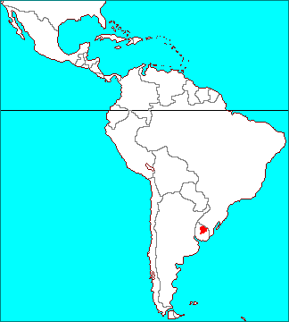 Tillandsia uruguayensis